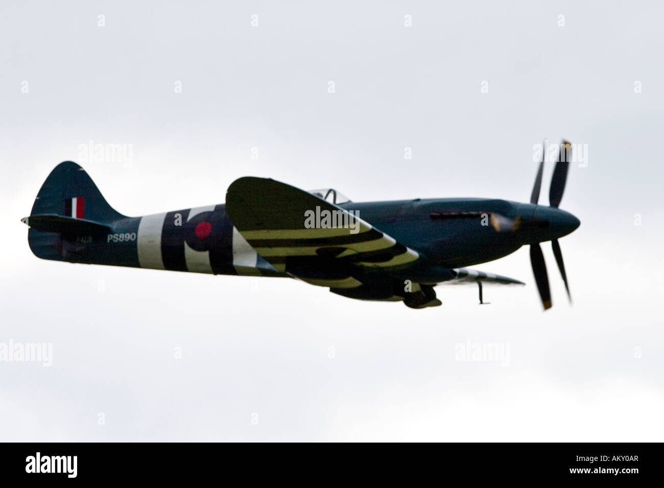 Spitfire Mk XIX, l'Europa è un grande aereo vintage incontro sul Hahnweide, Kirchheim-Teck, Baden Wuerttemberg , Germania Foto Stock