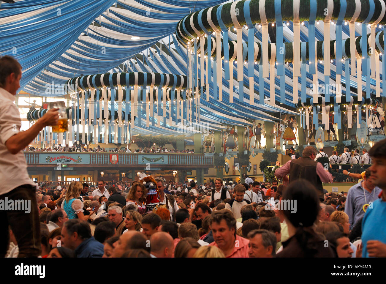 Oktoberfest, Ochsenbraterei tenda della birra di Monaco di Baviera - festa  della birra, Baviera, Germania Foto stock - Alamy