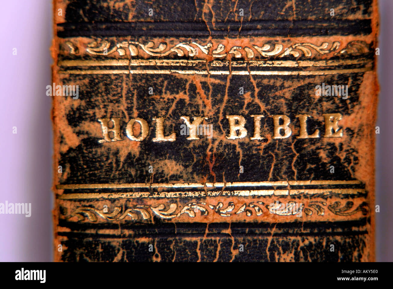 La Santa Bibbia titolo della colonna vertebrale; King James Version Foto Stock