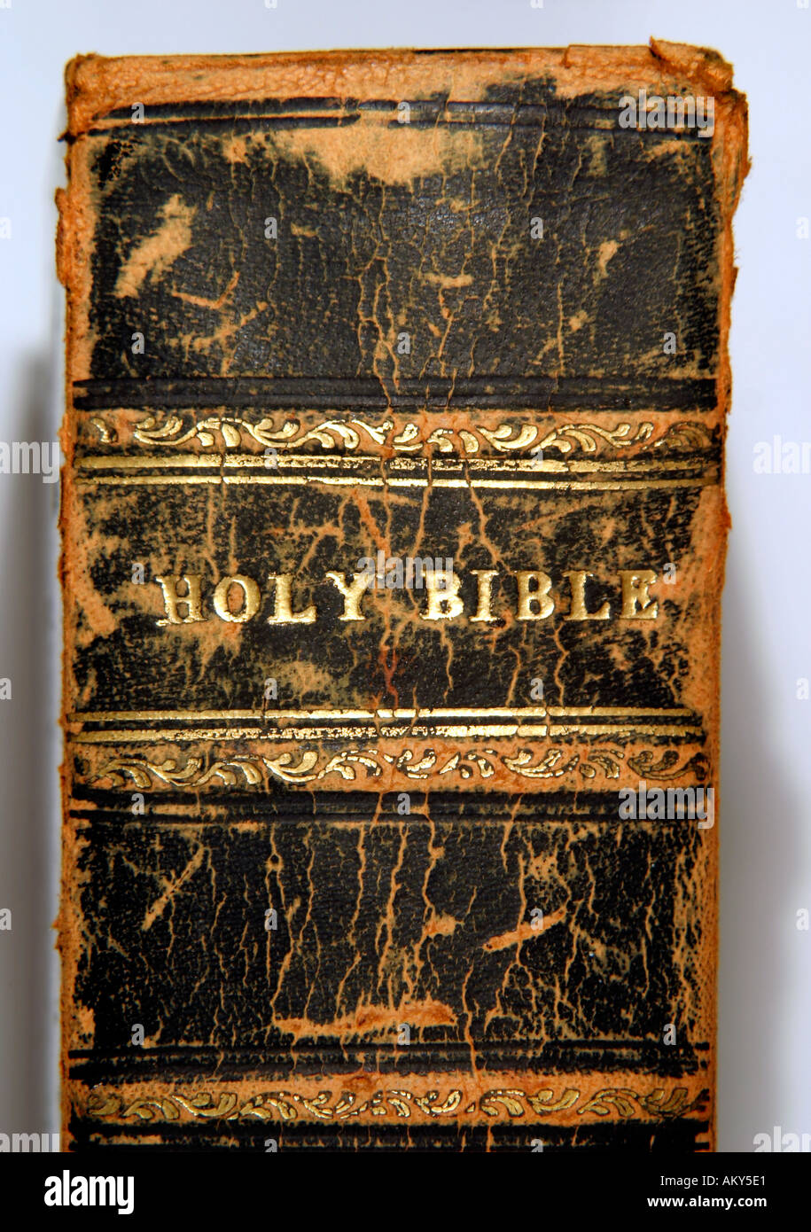 La Santa Bibbia titolo della colonna vertebrale, King James Version Foto Stock