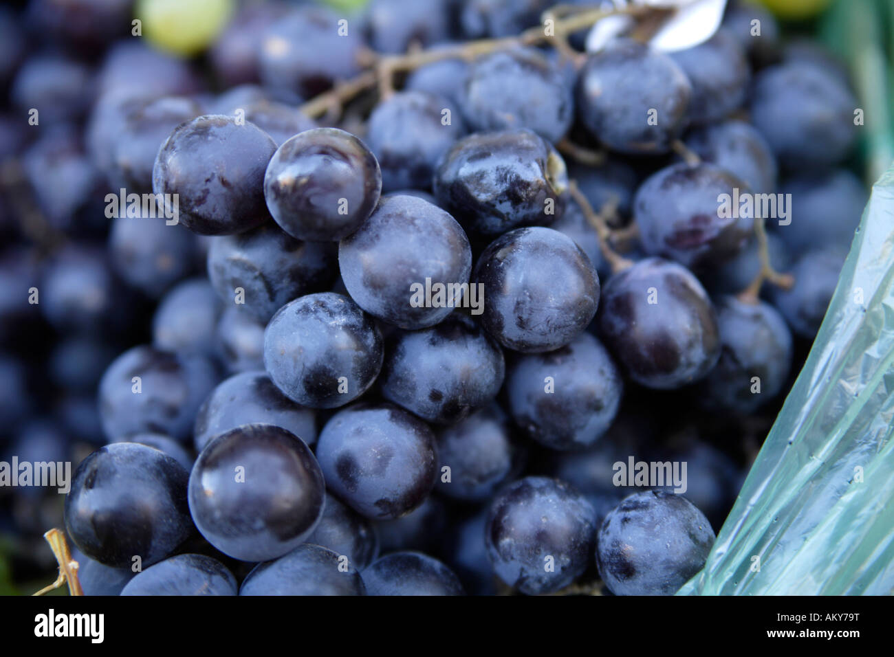 Grappolo di uva da vino, close-up Foto Stock