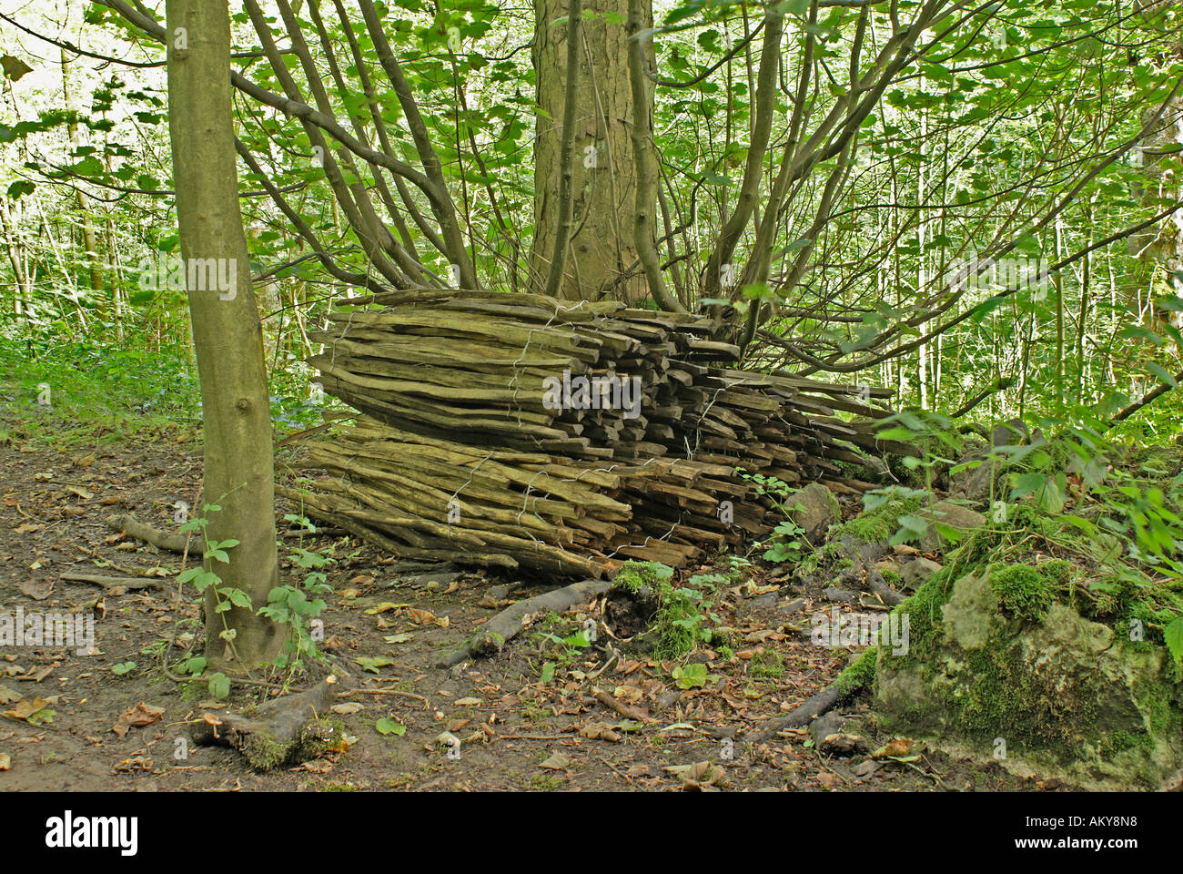 Nuovo recinto per Buxton Country Park, Grinlow boschi, Derbyshire. Foto Stock