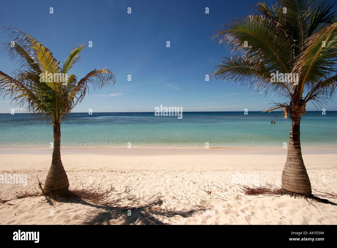 West Bay Beach, Roatan Island, Honduras Foto Stock