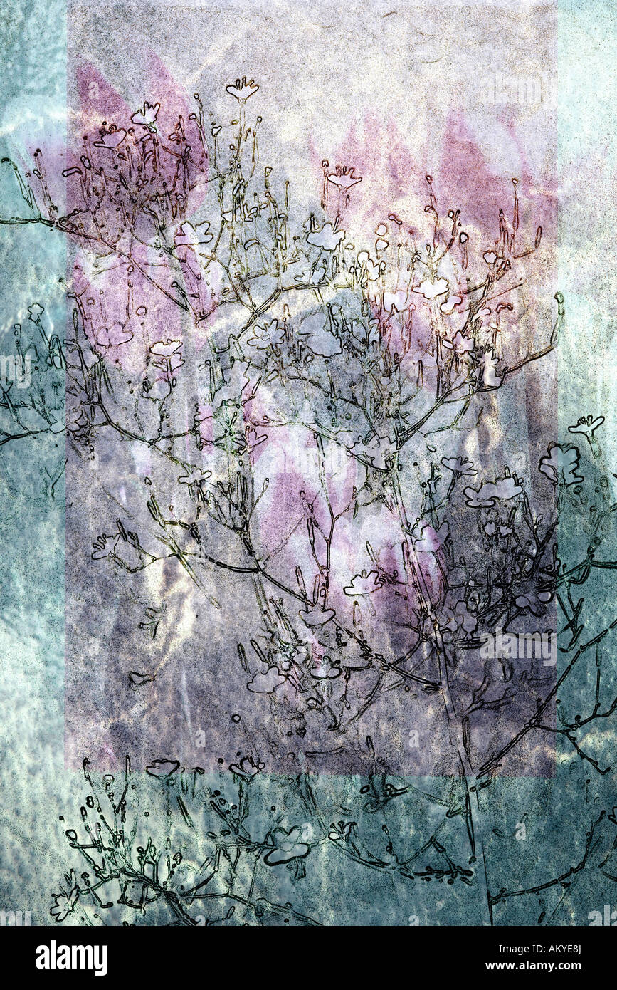 Collage a forma di fiore, close-up Foto Stock