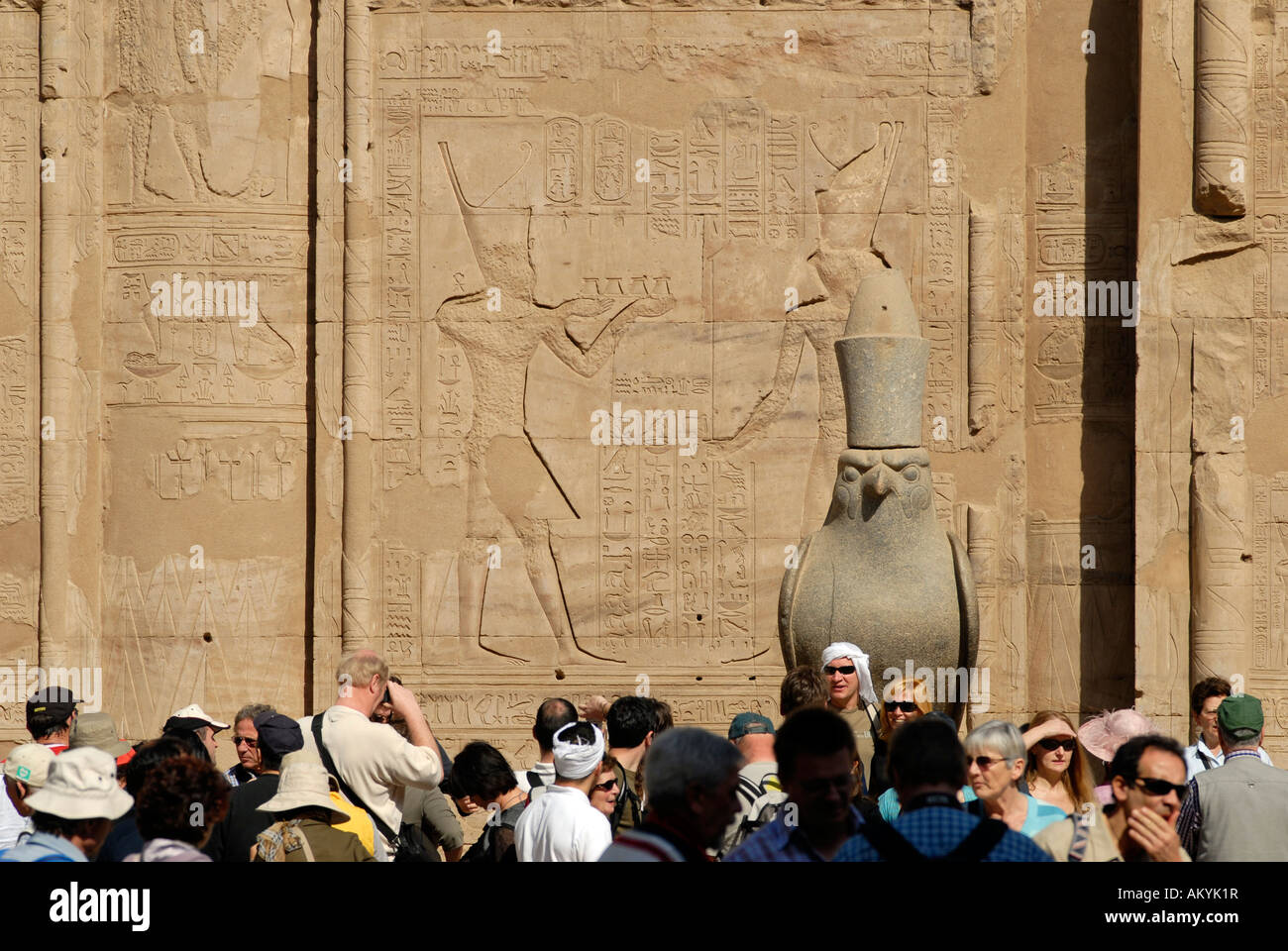 Al tempio di Horus - il tempio meglio conservato impianto in Egitto. Il dio Horus in forma di un falco, Edfu, Egitto Foto Stock