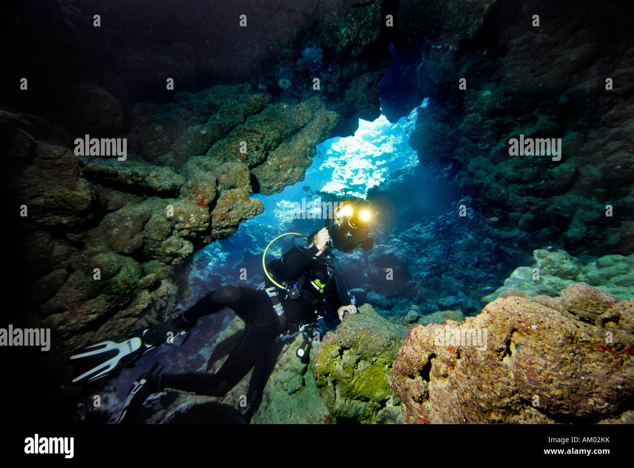 Film subacqueo una grotta subacquea, Mar Rosso, Egitto Foto Stock