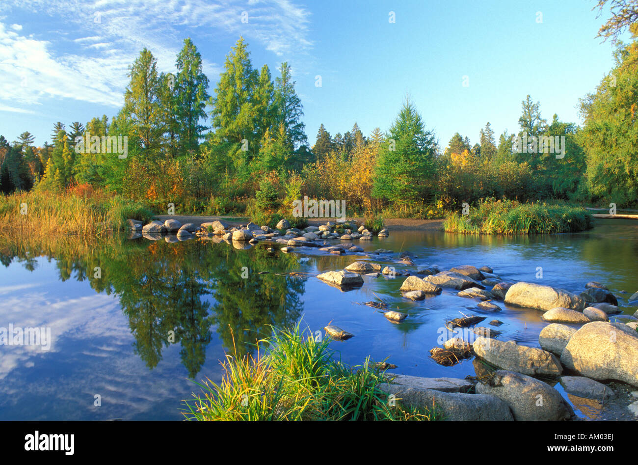 Fiume Mississippi fonte al Lago Itasca parco dello stato del Minnesota Foto Stock