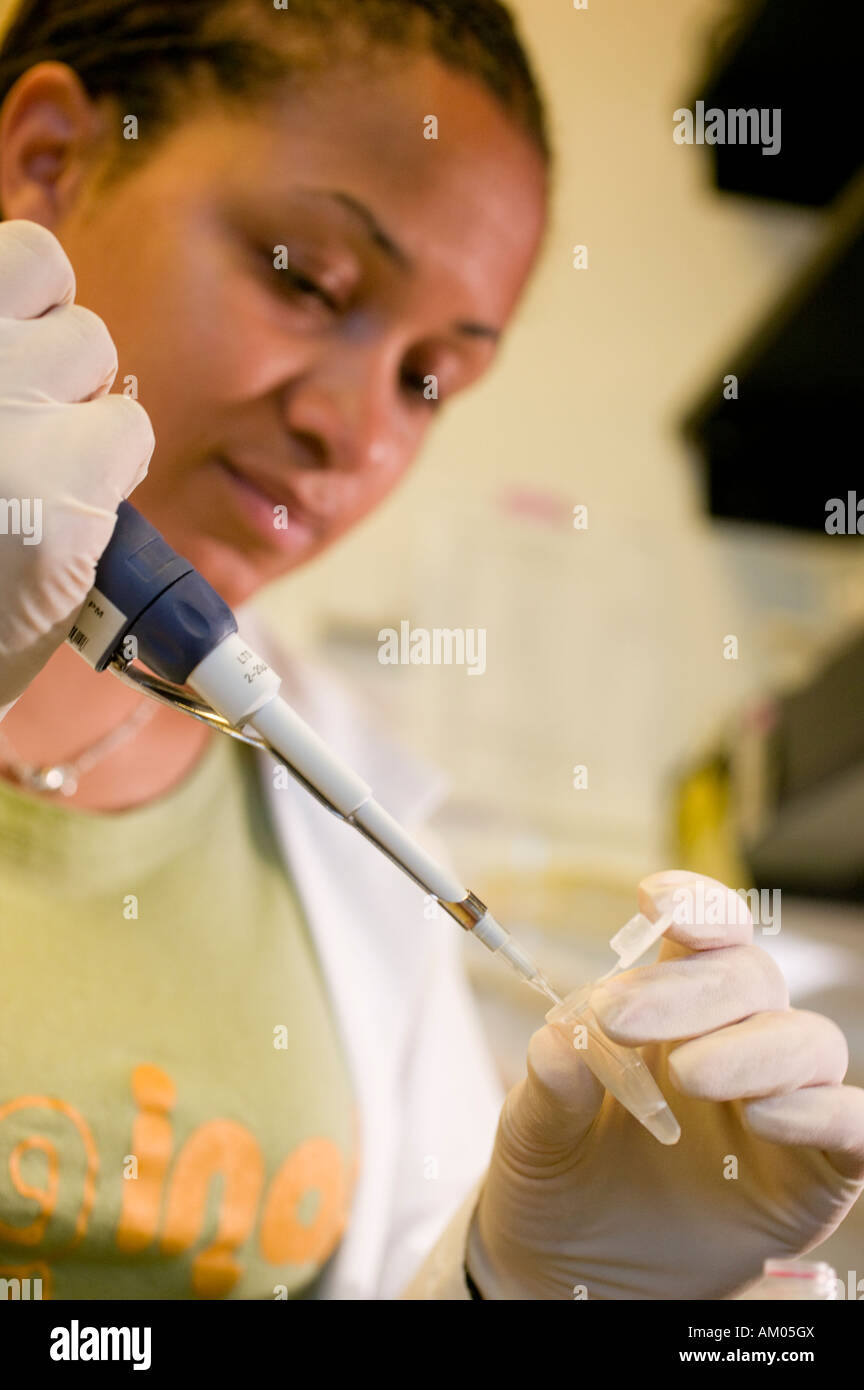 Ricercatore medico usando una pipetta per applicare un campione in una micro provetta da centrifuga Foto Stock