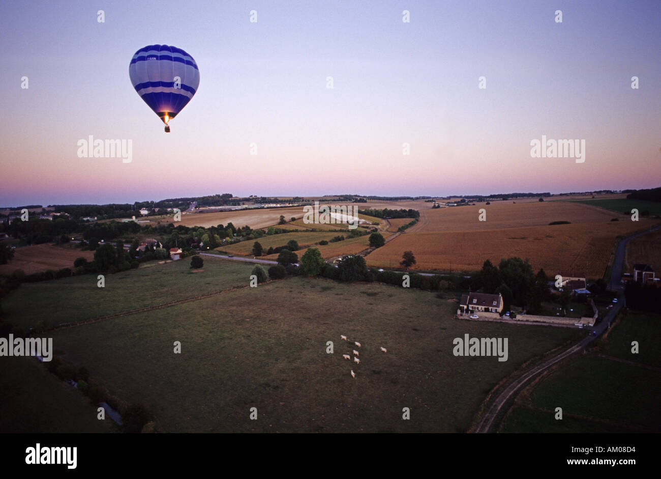 Francia Europa 4 palloni su un campo con le vacche bovini Foto Stock