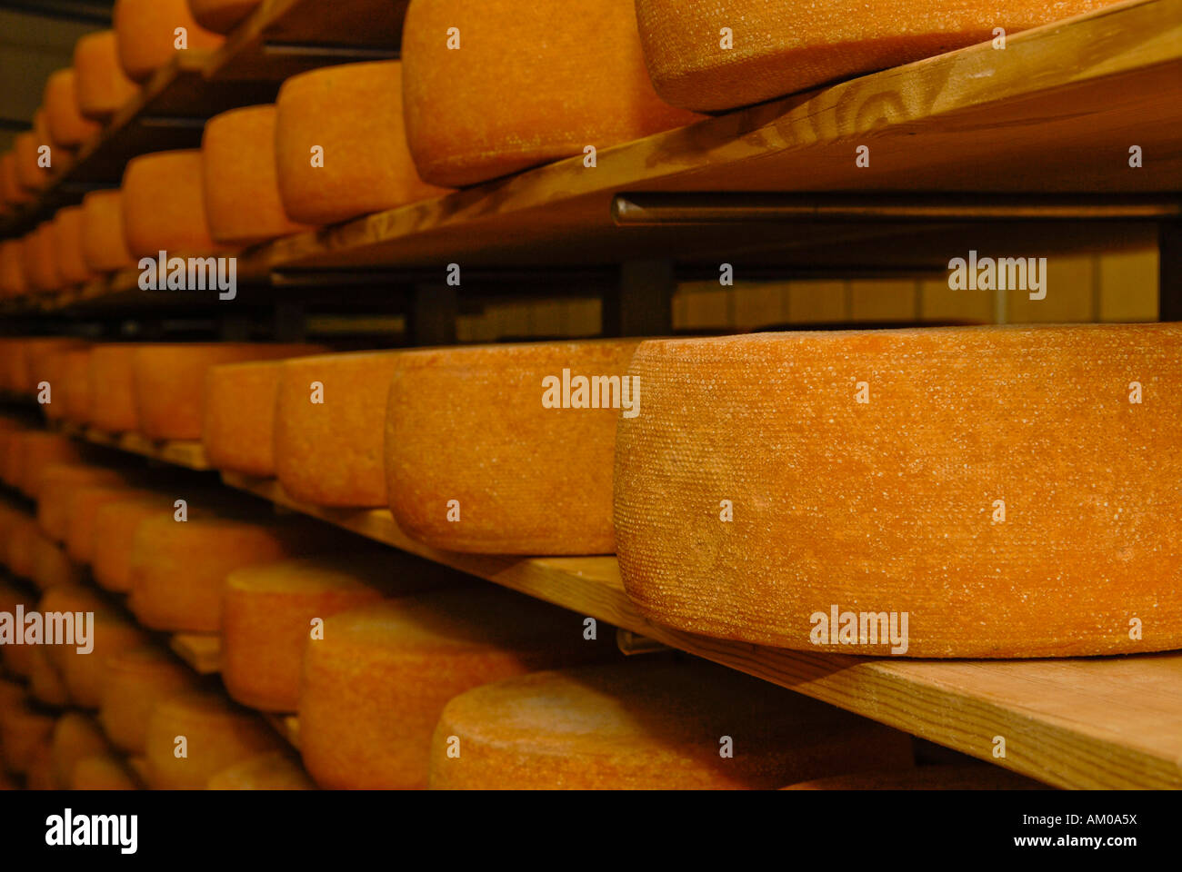 Memorizzazione di formaggi biologici in scaffalature in legno Foto Stock
