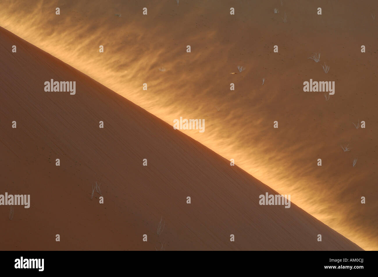 Dettaglio della cresta di dune durante la tempesta di sabbia in luce posteriore, Namib Desert, Namibia, Africa Foto Stock