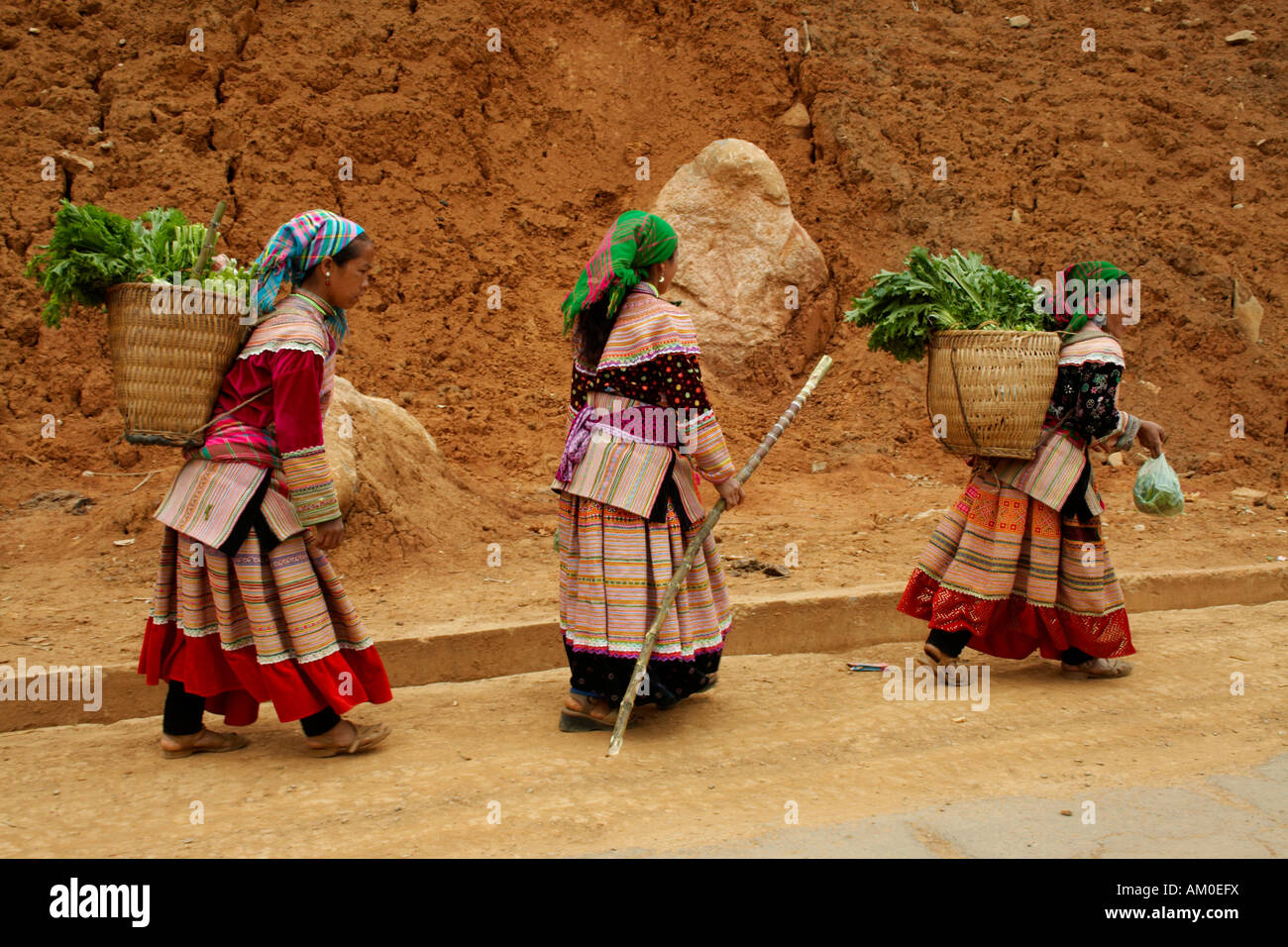 Le donne del fiore Hmong tribù collina tornando dal mercato può cau, Vietnam Foto Stock
