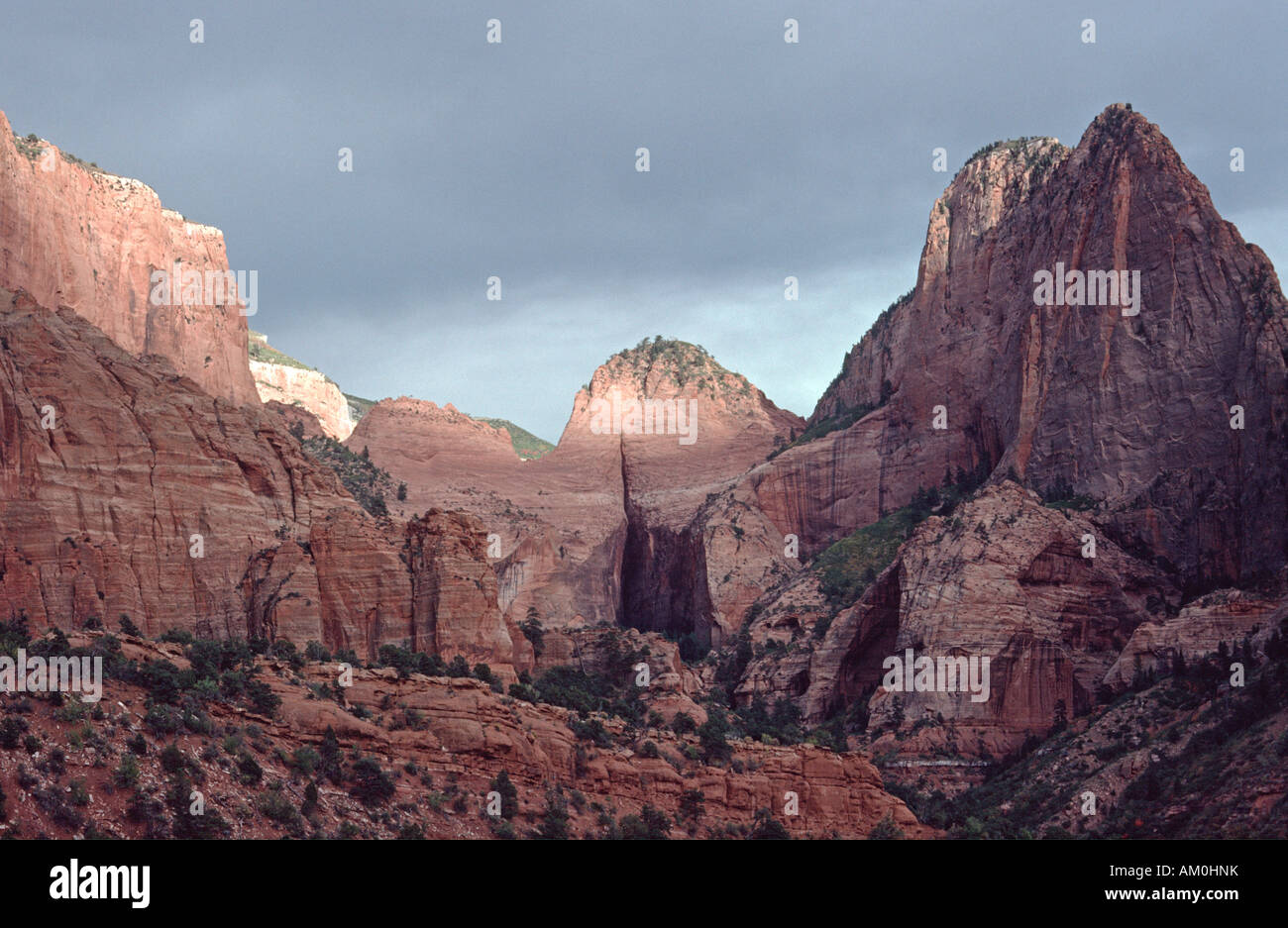 Formazione di roccia nel Parco Nazionale di Zion, Utah, Stati Uniti d'America Foto Stock