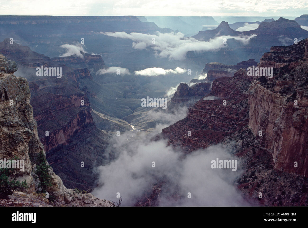 Grand Canyon al Cape Royal, North Rim, dopo thunderstrom, Arizona, Stati Uniti d'America Foto Stock