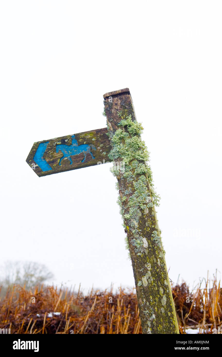 Vecchio lichen coperta in legno percorso briglia segno Foto Stock