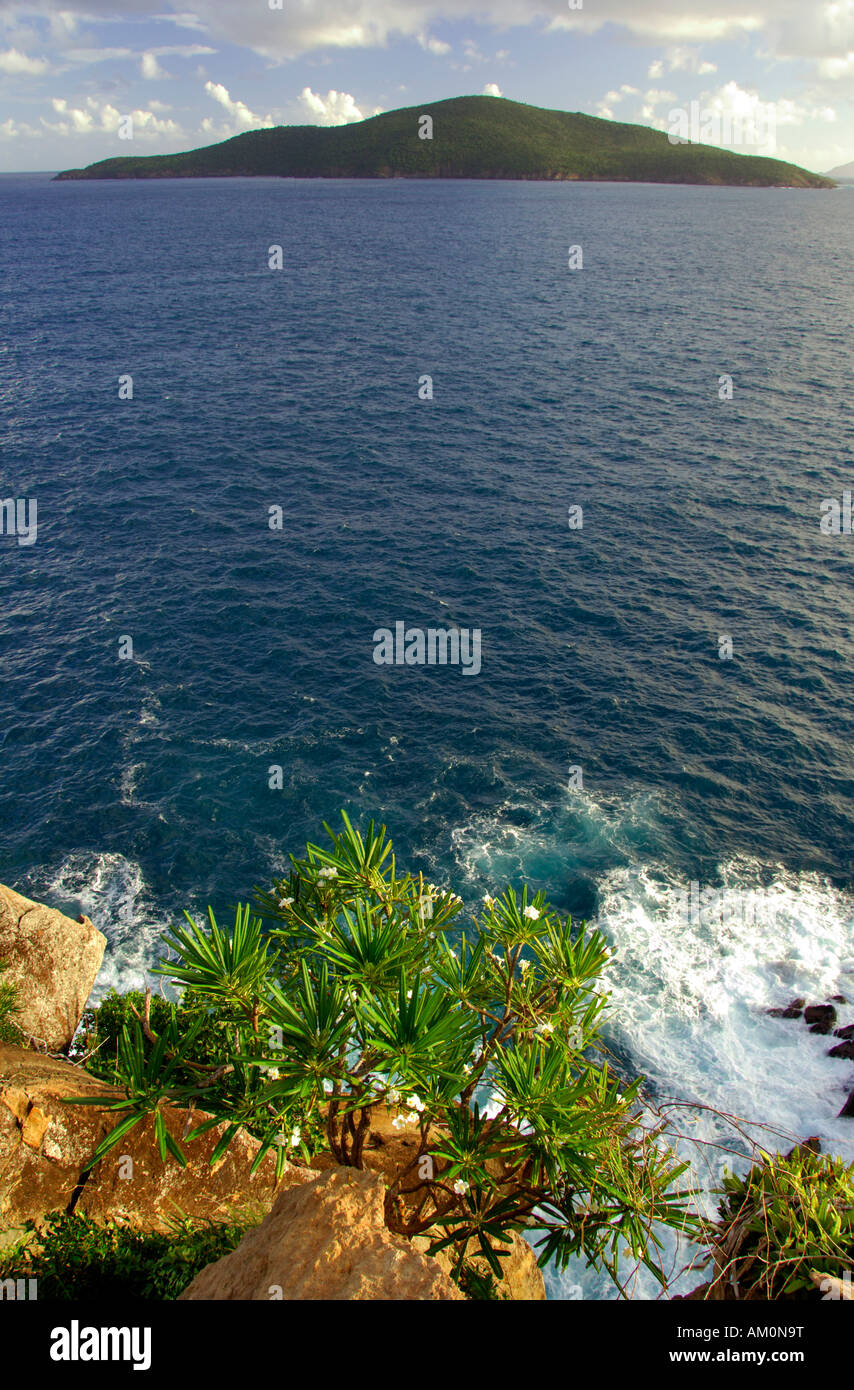 Caraibi, Isole Vergini americane, San Tommaso. Foto Stock