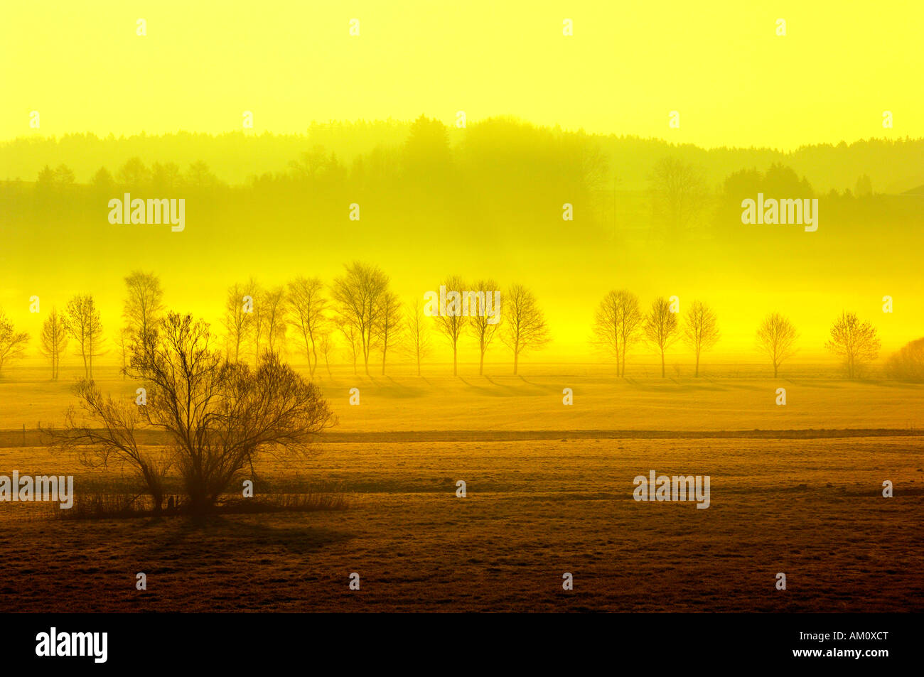 Paesaggio di Foggy Dawn, Bruck, Contea di Ebersberg, Alta Baviera, Baviera, Germania Foto Stock