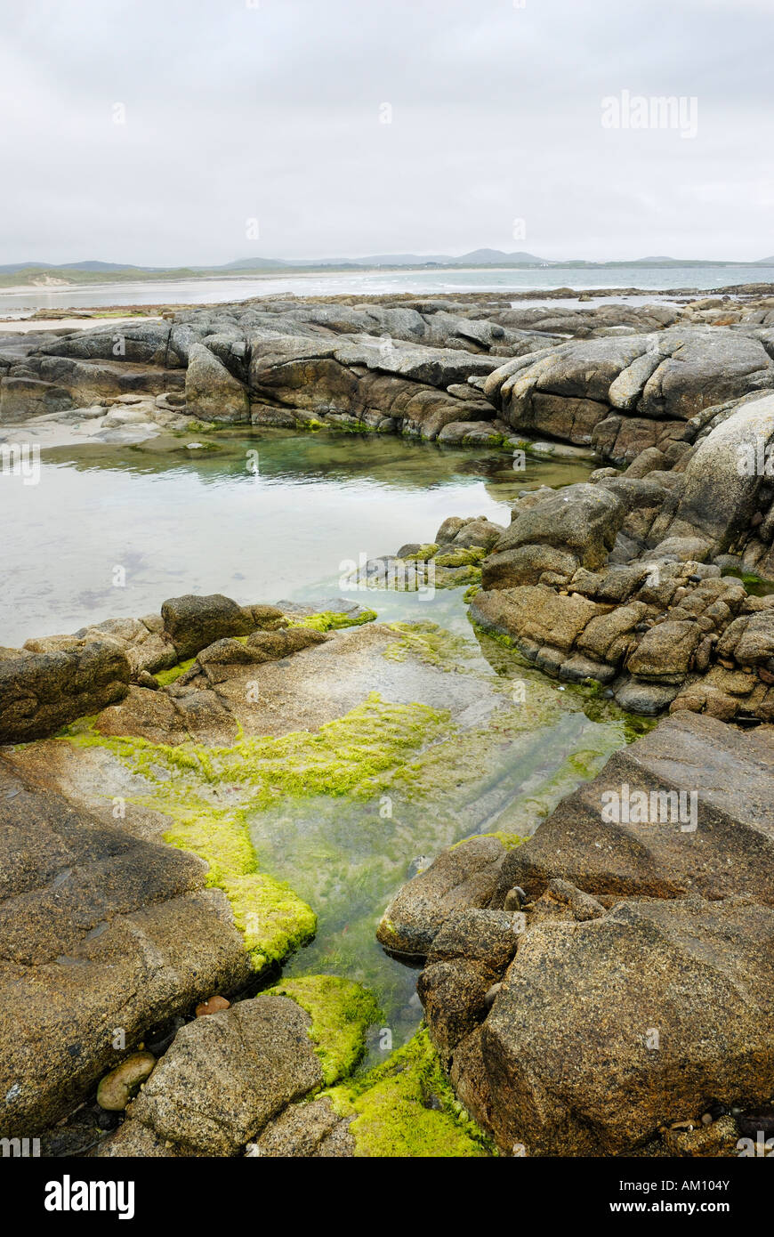 Rocce di granito che circondano un laghetto di marea con alghe verdi sulla costa nord di Co Donegal, Irlanda Foto Stock