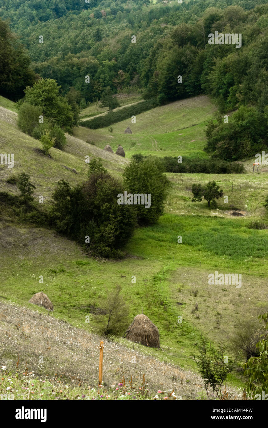 Campagna serba e montagne, vicino a Valjevo, West Serbia Foto Stock