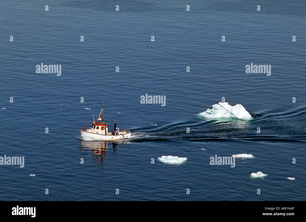 Barca da pesca, Disko Bay, Ilulissat, Danmark Foto Stock