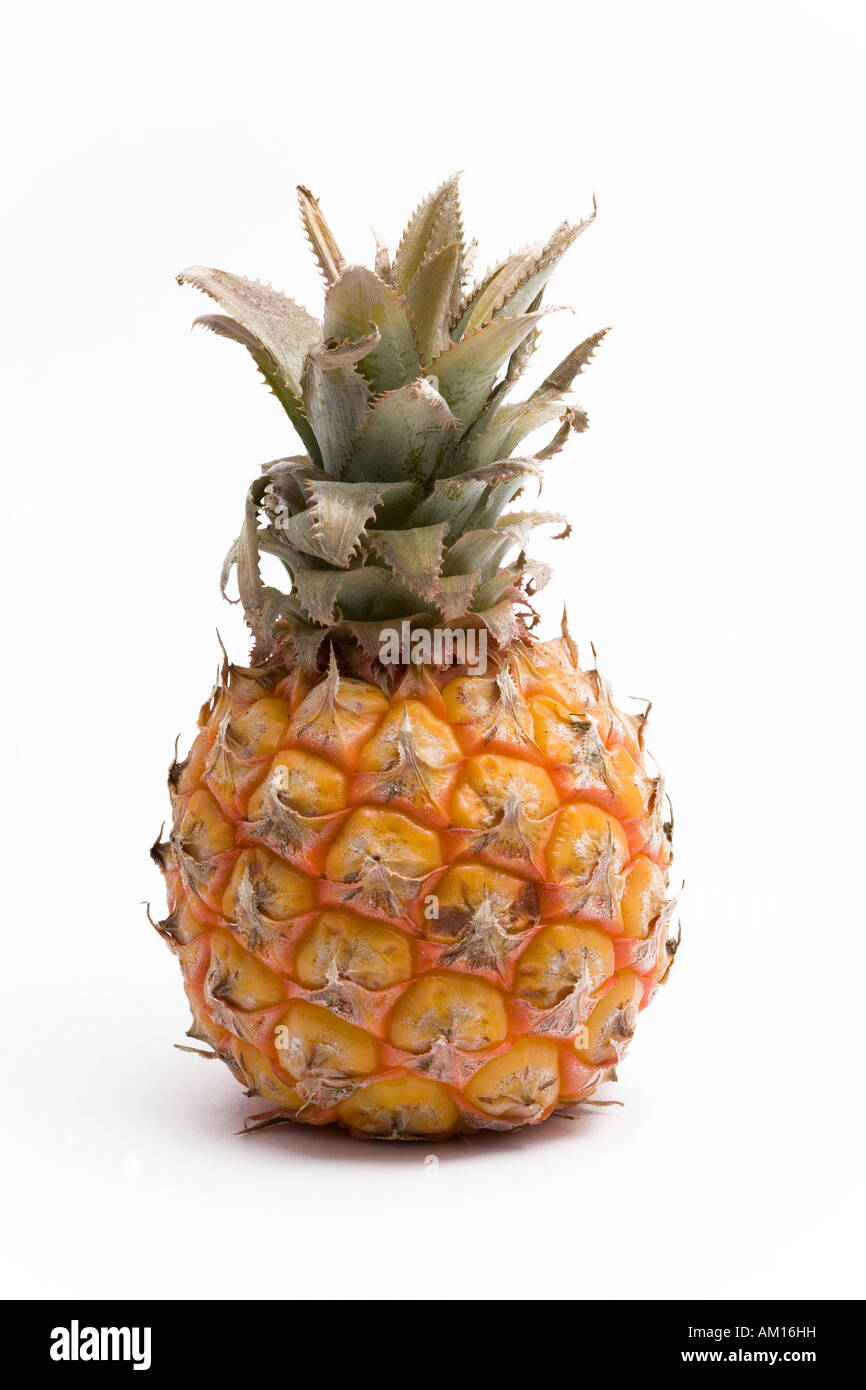 Ananas Foto Stock