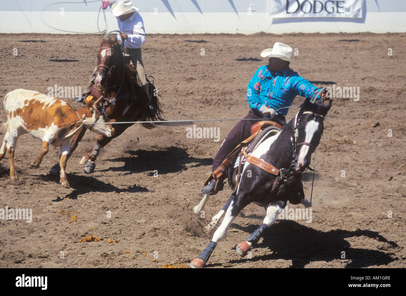 Team roping evento spagnolo vecchi giorni Fiesta Rodeo e Stock Horse Show Earl Warren Showgrounds Santa Barbara CA Foto Stock