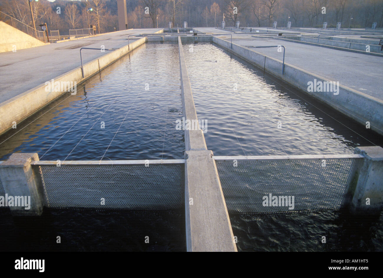 Vivai di pesci Table Rock Lake Dam Ozarks Missouri Foto Stock