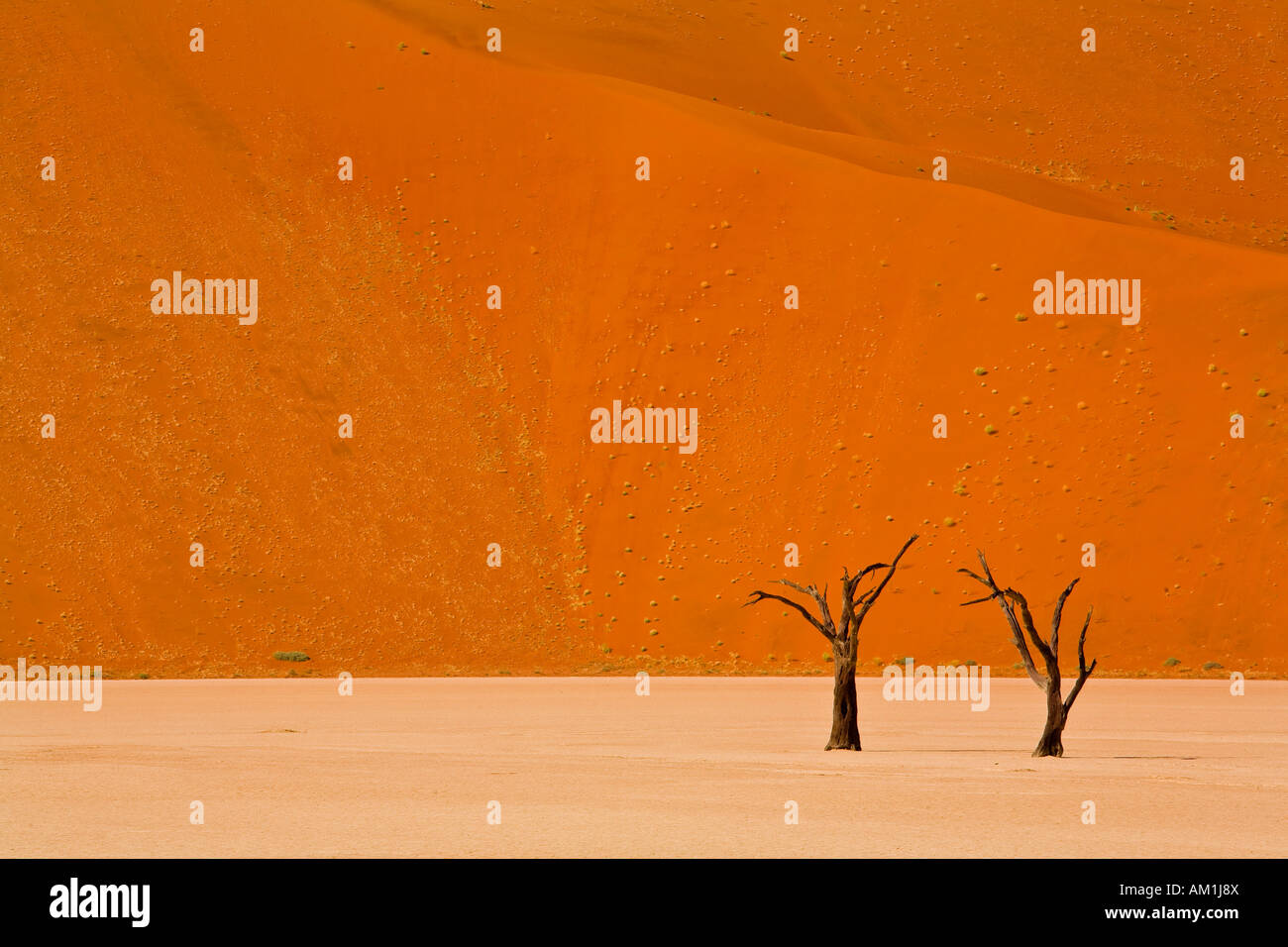 Deadvlei, Namibia Foto Stock
