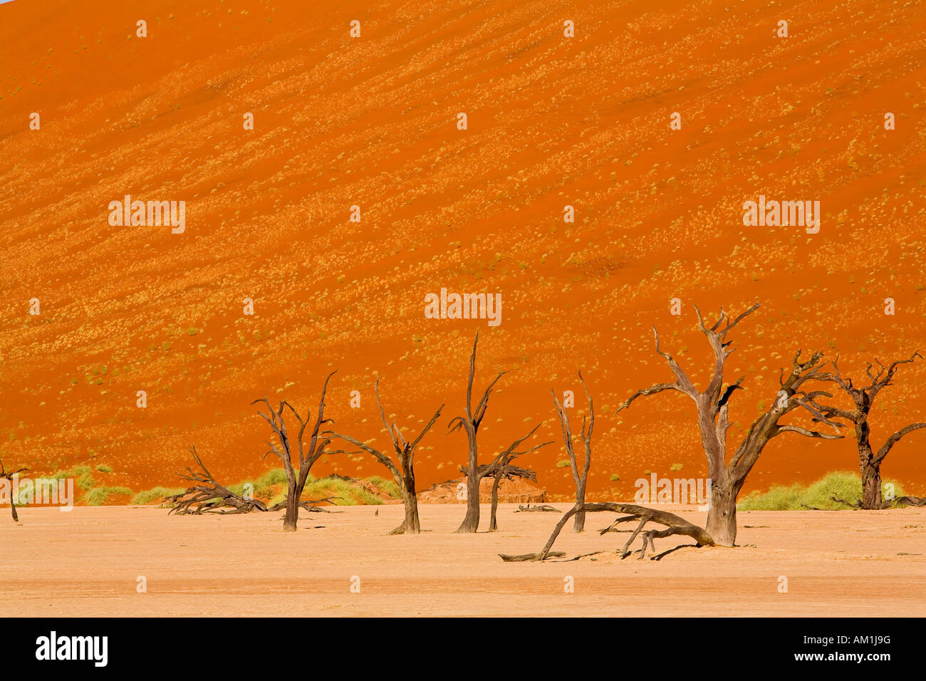 Deadvlei, Namibia Foto Stock