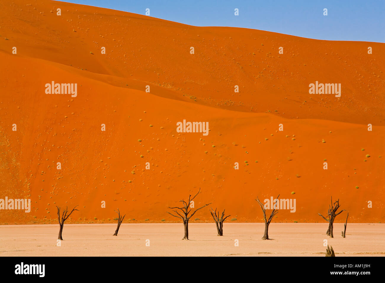Deadvlei, Namibia Foto Stock