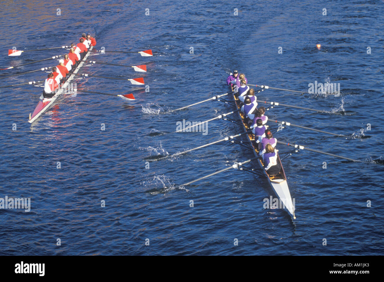 Femmina gara di canottaggio regata Charles Cambridge Massachusetts Foto Stock