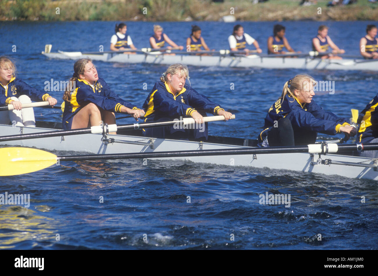 Femmina gara di canottaggio regata Charles Cambridge Massachusetts Foto Stock