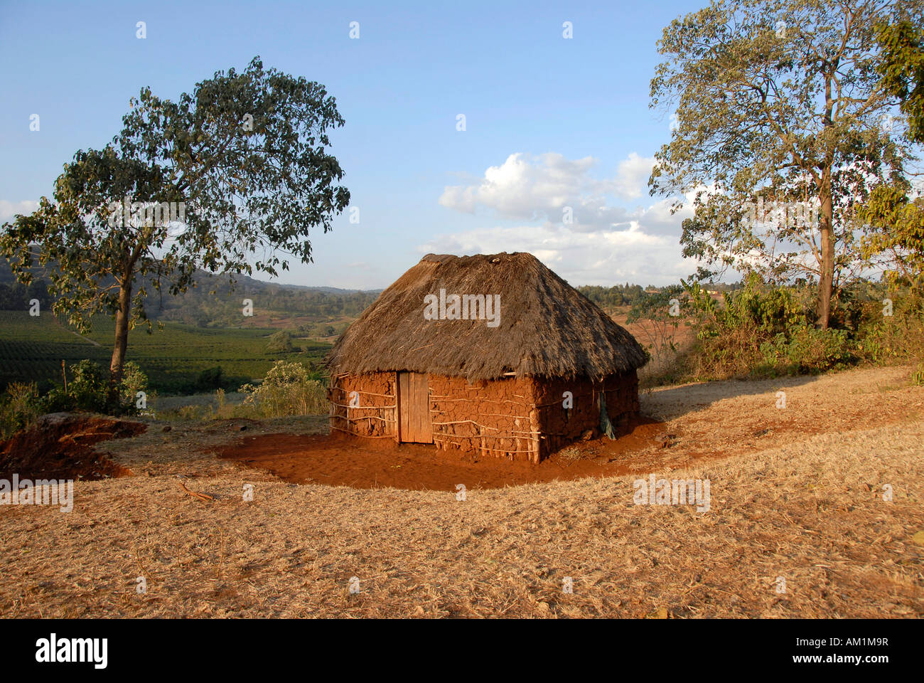 Primitiva capanna fatta di rami di argilla e paglia vicino a Karatu Tanzania Foto Stock