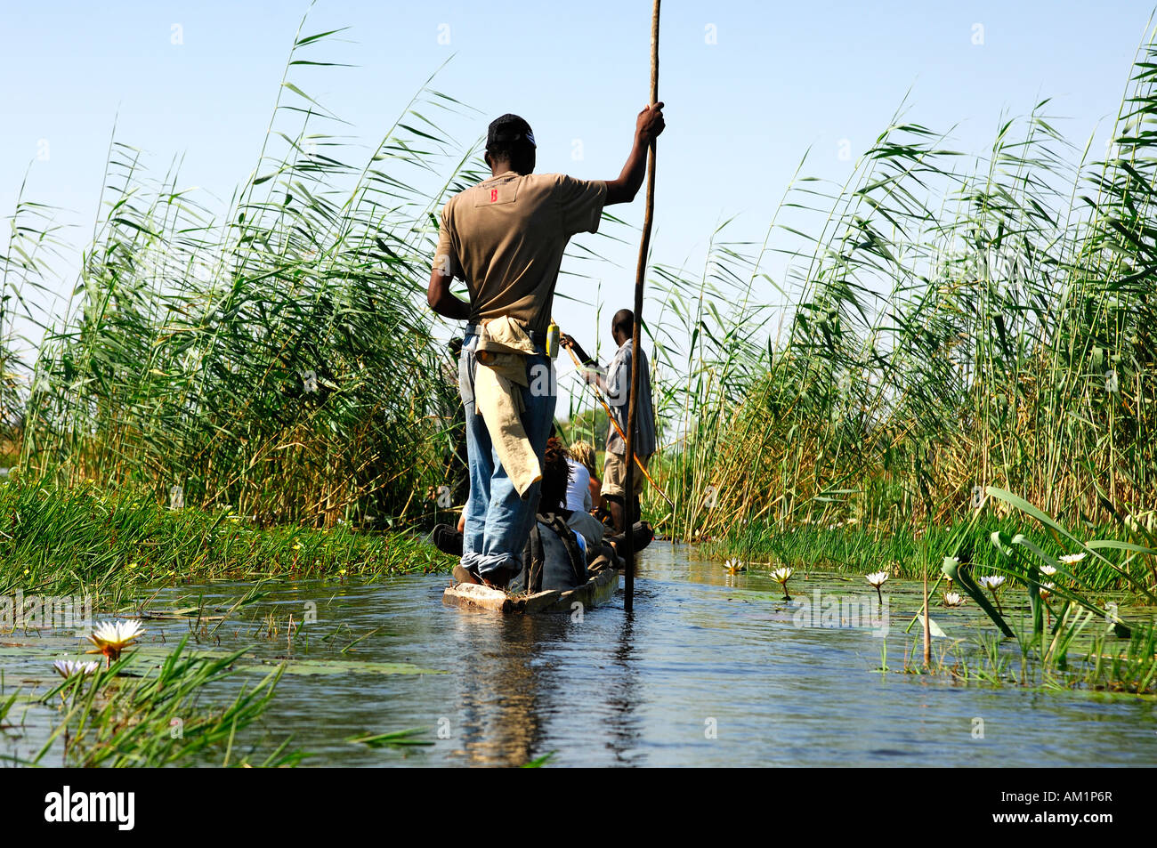 La gente del luogo in Mokoro dugoutboat su una escursione turistica in Okavango Delta, Botswana Foto Stock