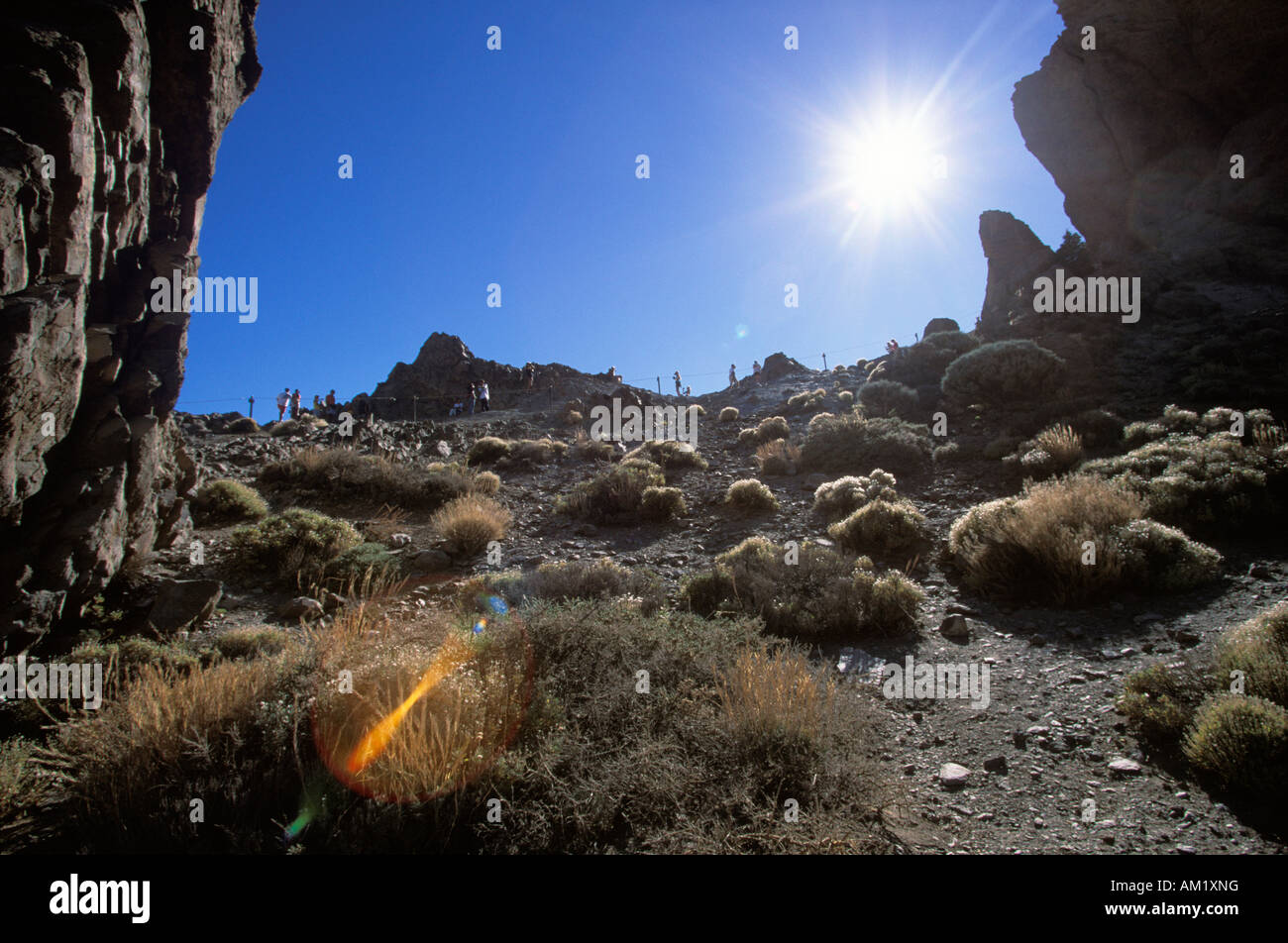 Parco nazionale de Las Cañadas del Teide, Los Roques de Garcia, Tenerife, Isole Canarie, Spagna Foto Stock