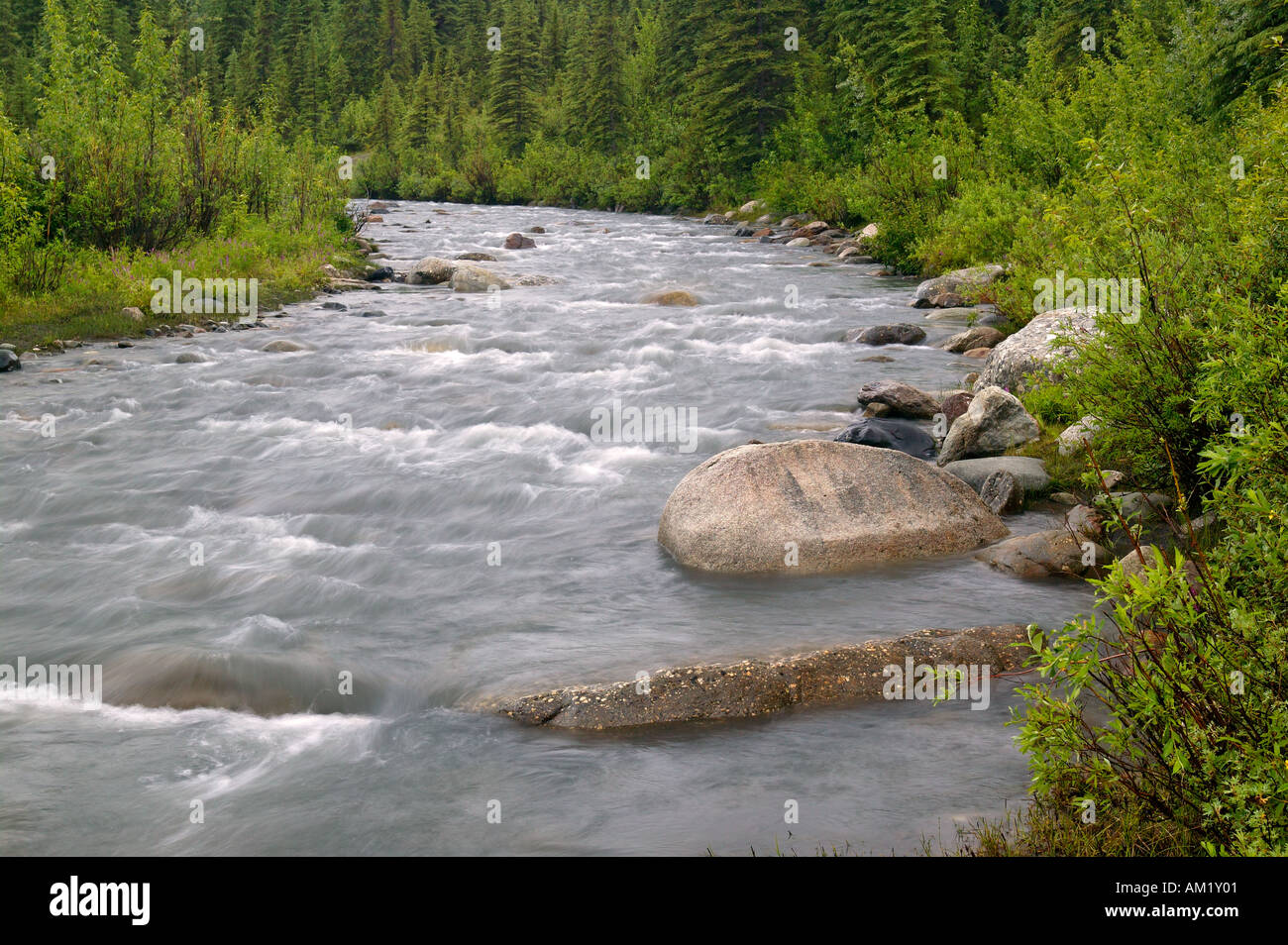 Riley Creek Parco Nazionale di Denali Alaska Foto Stock