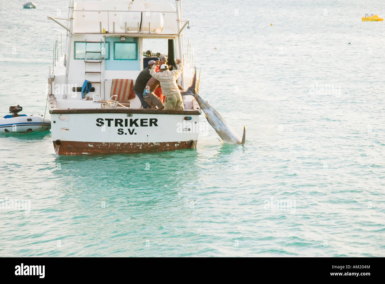 I pescatori in lotta con un gran marlin azzurro pesce nelle isole di Capo Verde. Foto Stock