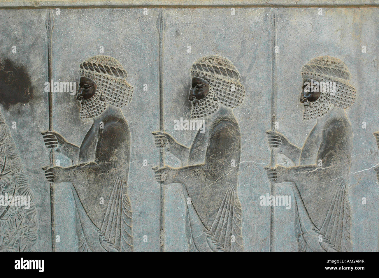 Guerriero persiano di rilievo nel palazzo Xerxes PERSEPOLIS Iran Foto Stock