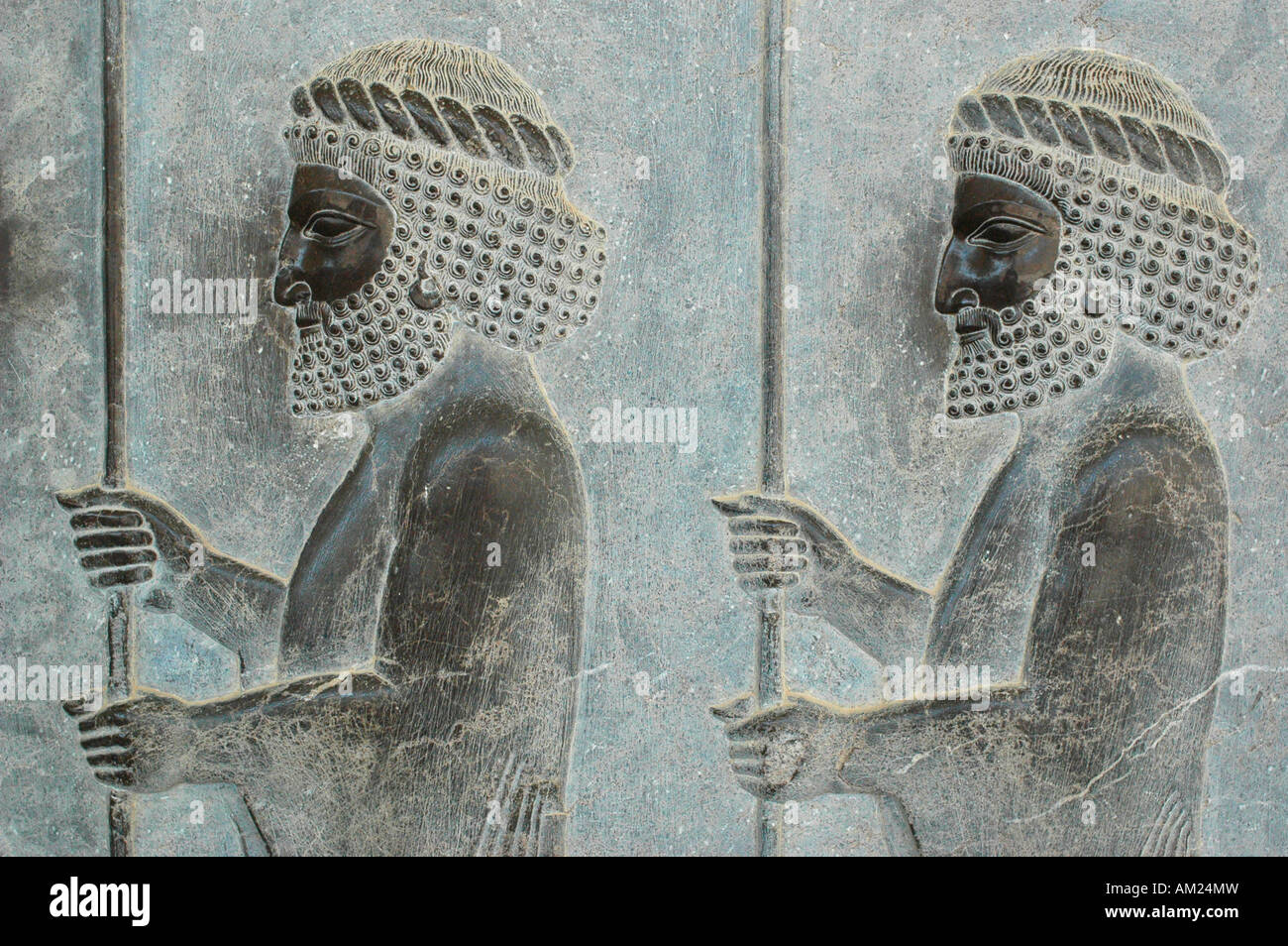 Guerriero persiano di rilievo nel palazzo Xerxes PERSEPOLIS Iran Foto Stock