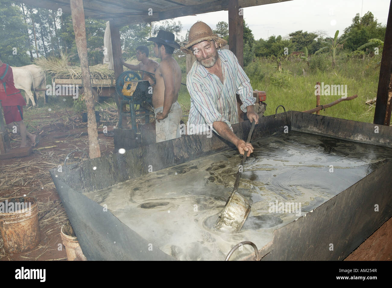 Il bracciante, la lavorazione della canna da zucchero, Paraguay America del Sud Foto Stock
