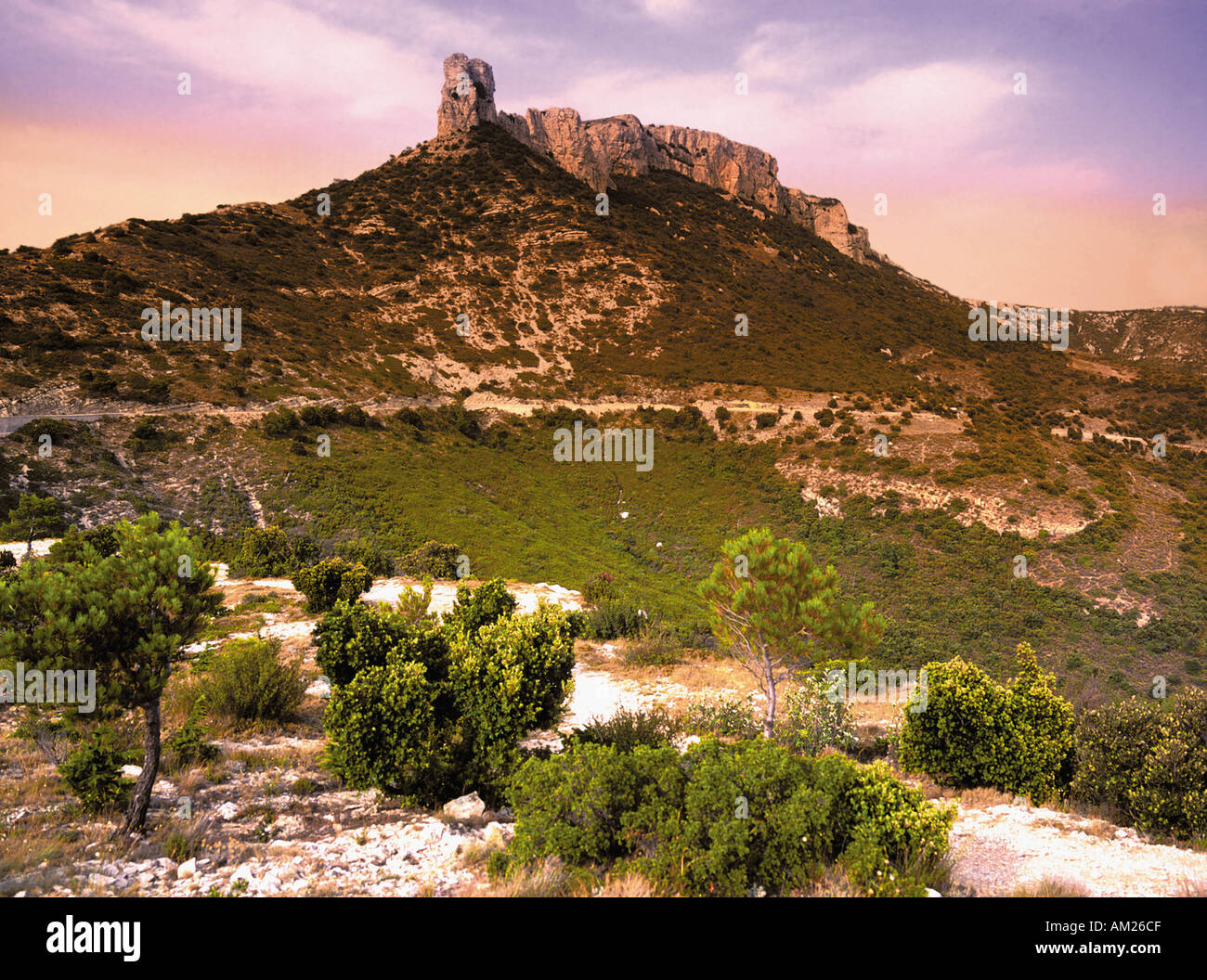 Francia Provenza Massif de la ste baume martyn di David Hughes Foto Stock