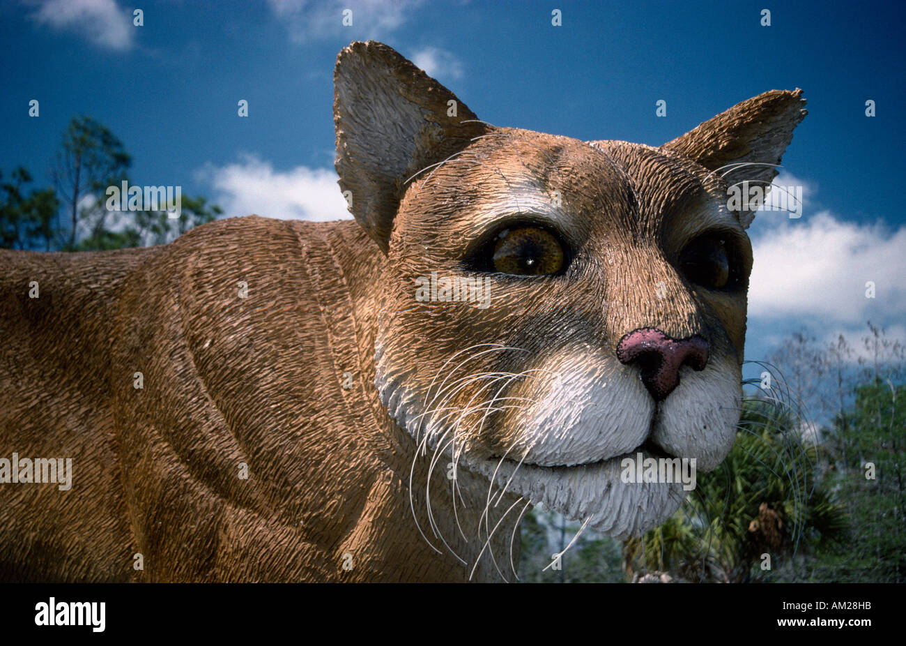 USA Florida Everglades Foto Stock