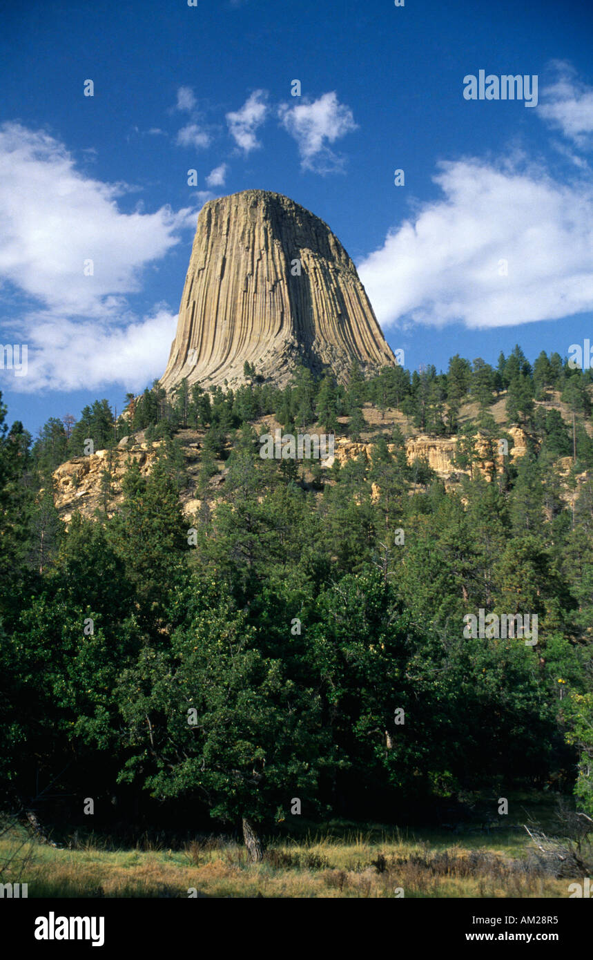 Stati Uniti d'America Wyoming Devils Tower Foto Stock
