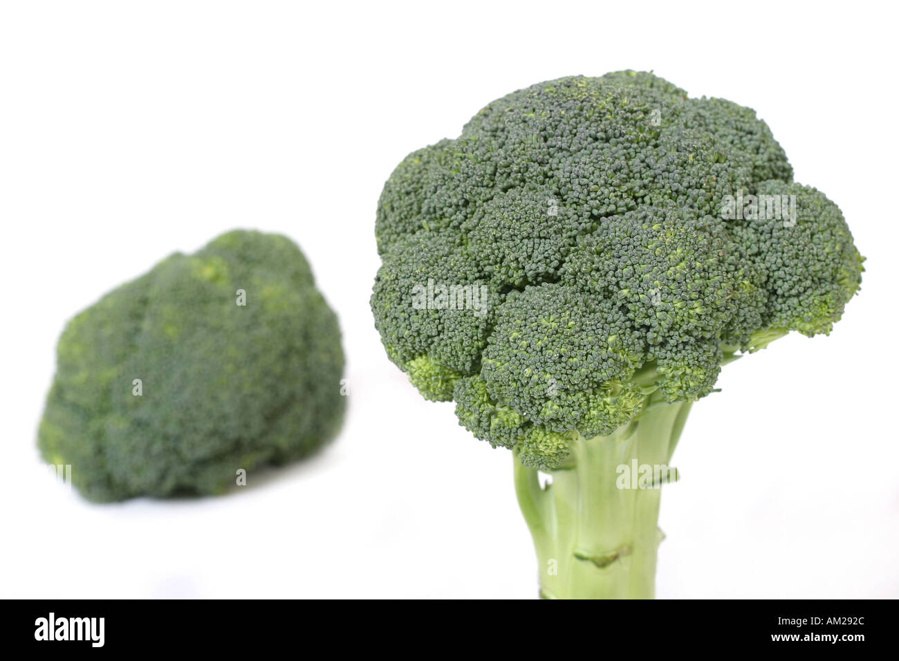 Broccolo Foto Stock