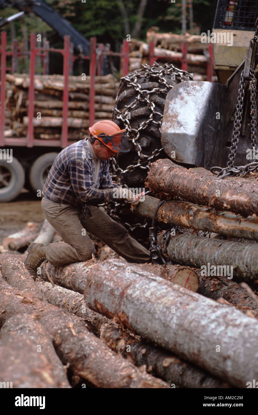 Lumberjack lavora nei boschi del nord del New Hampshire USA Foto Stock