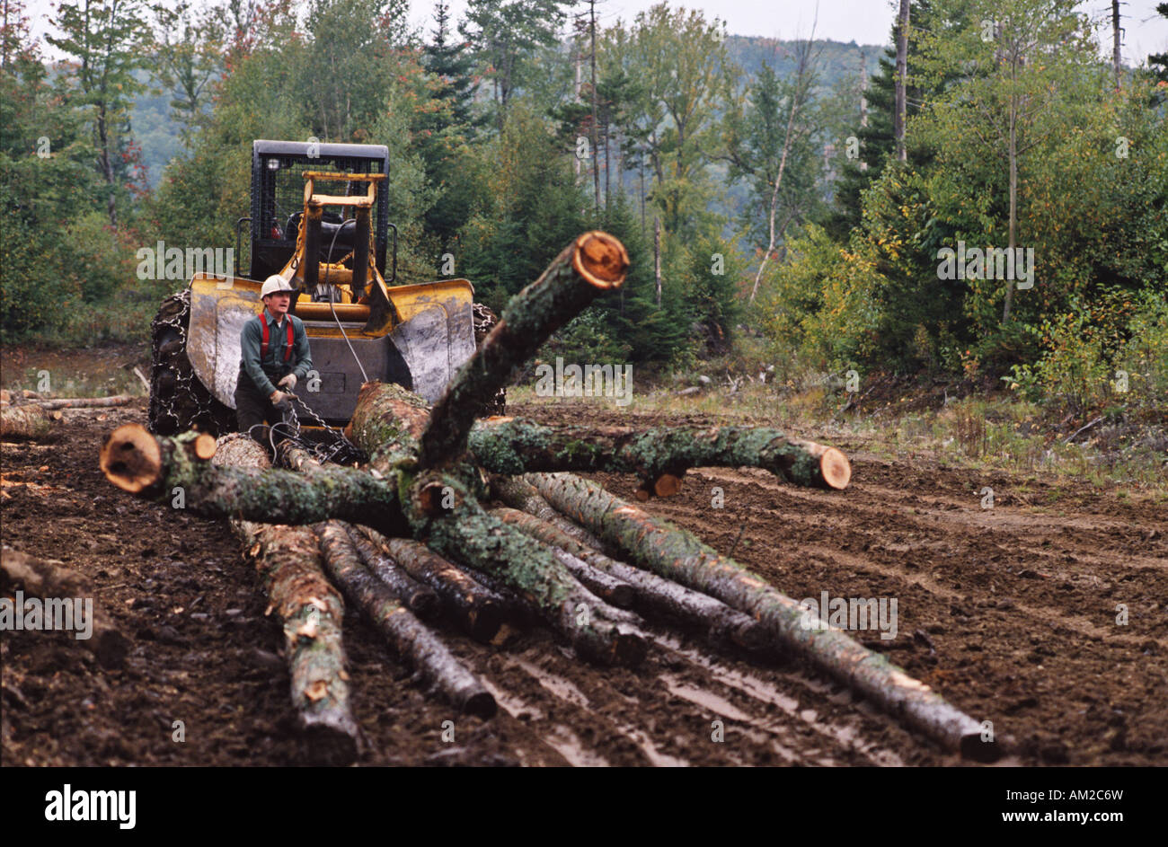 Un Francese canadese lumberjack lavora nei boschi del nord del New Hampshire USA Foto Stock