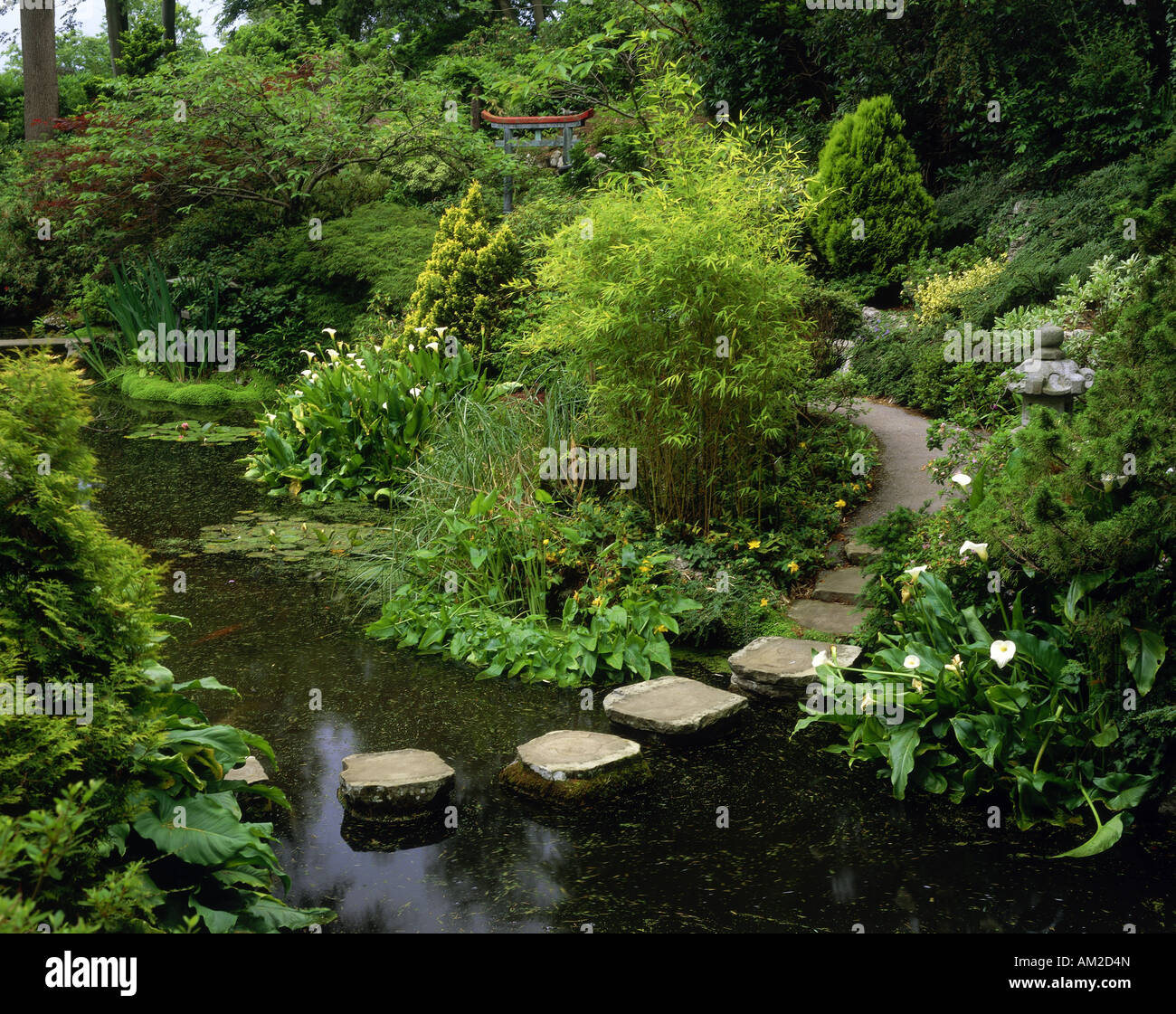 Geografia / viaggi, Gran Bretagna, Inghilterra, Poole, giardino / parchi, Compton Acres Gardens, il Giardino Giapponese, Additional-Rights-Clearance-Info-Not-Available Foto Stock