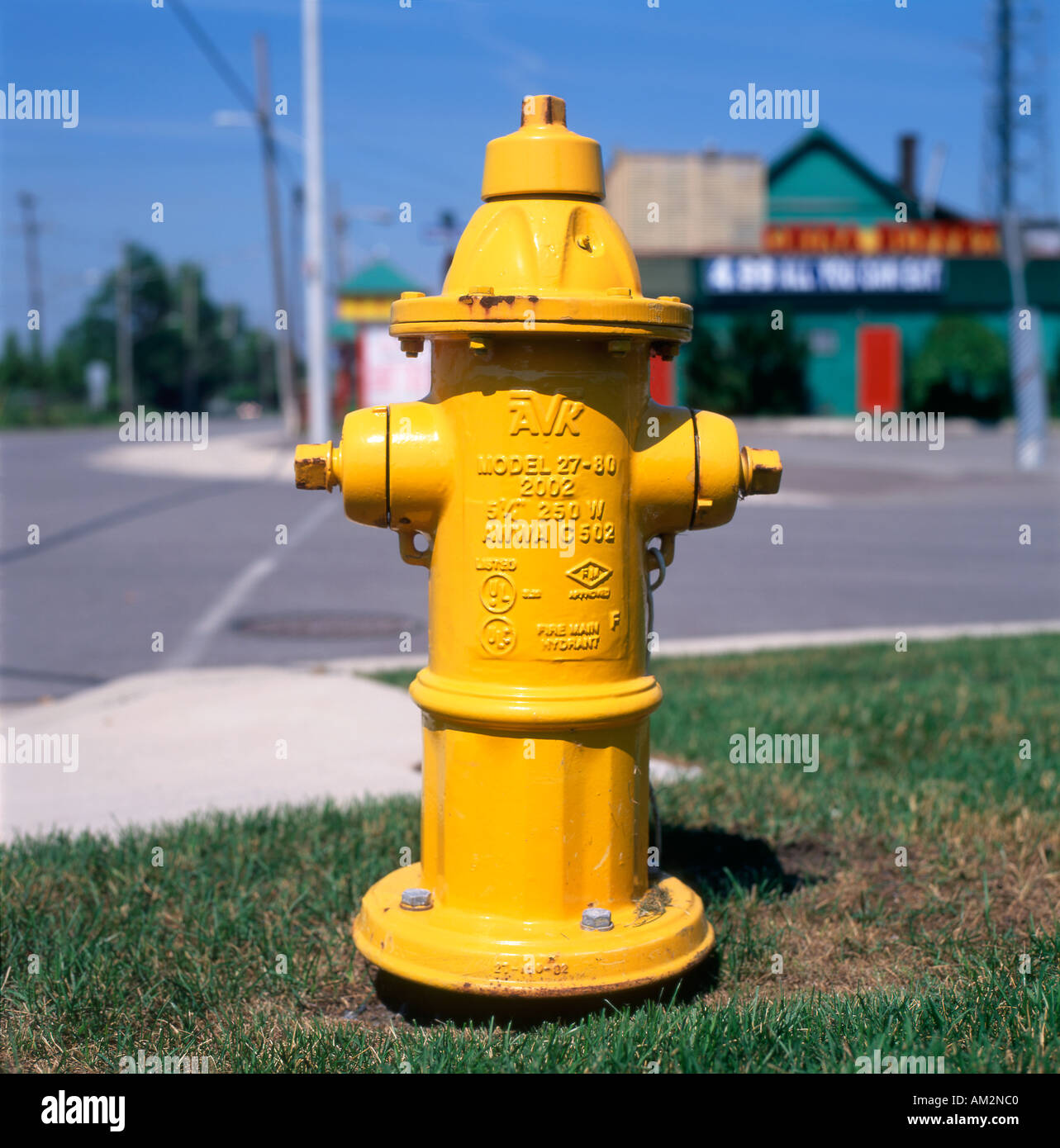 Giallo idrante di fuoco Fort Erie, Ontario, Canada Foto Stock