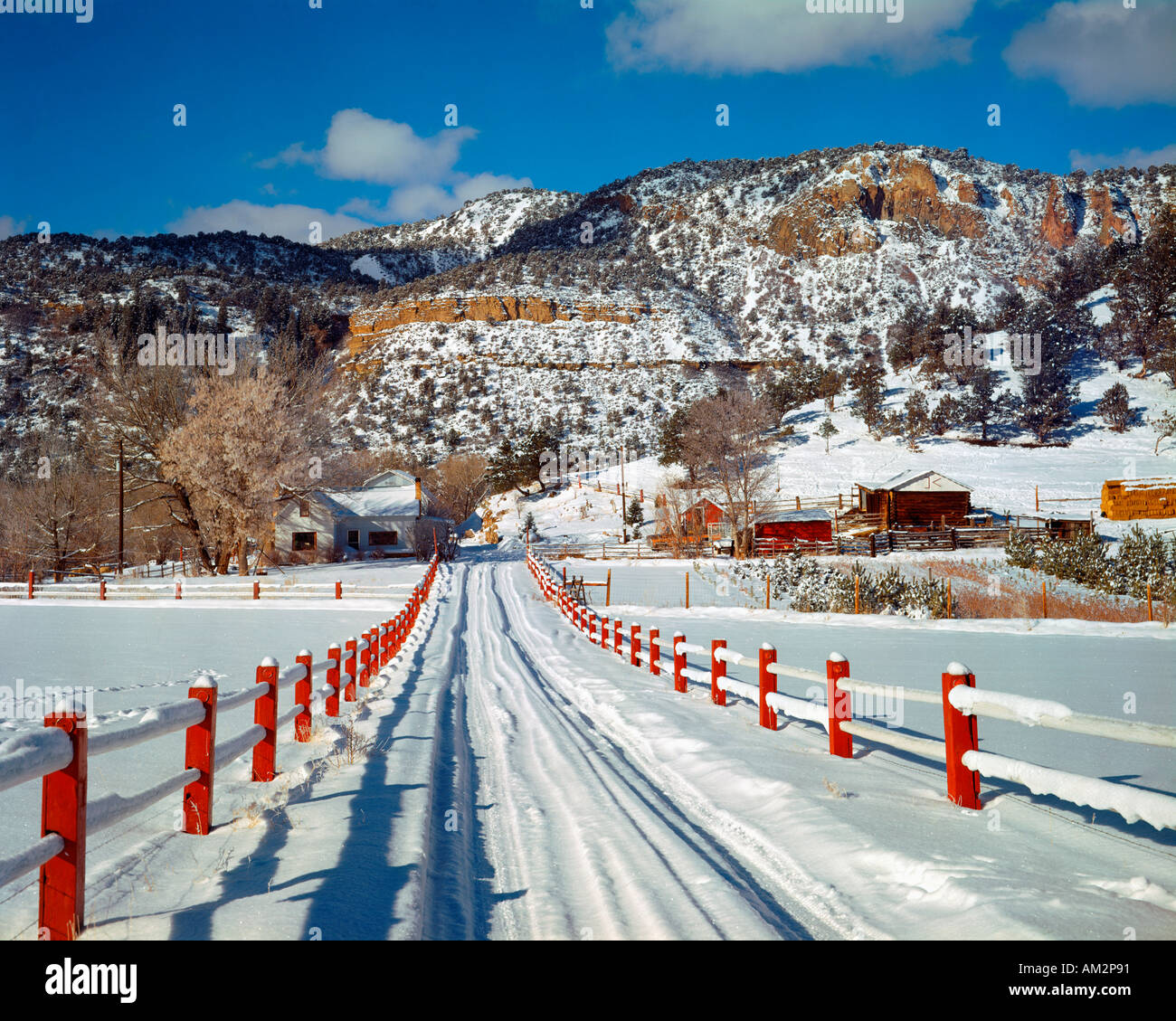 Coperta di neve strada al ranch vicino a Ouray Colorado USA in inverno Foto Stock