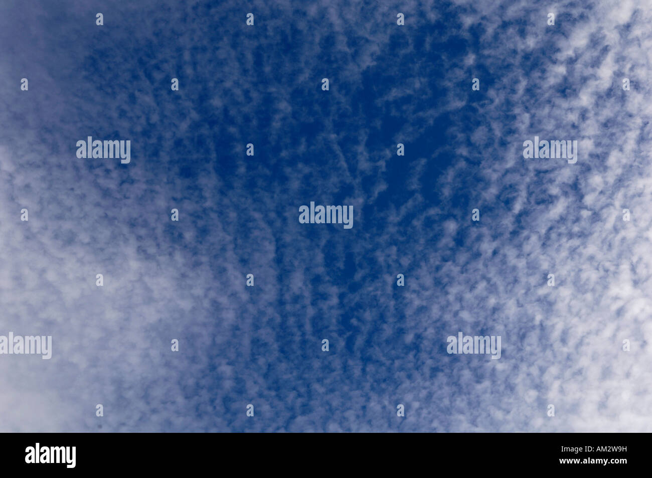 Altocumulus (CA) cielo sgombro Foto Stock